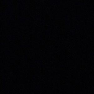 Meet your Posher, Sydnie